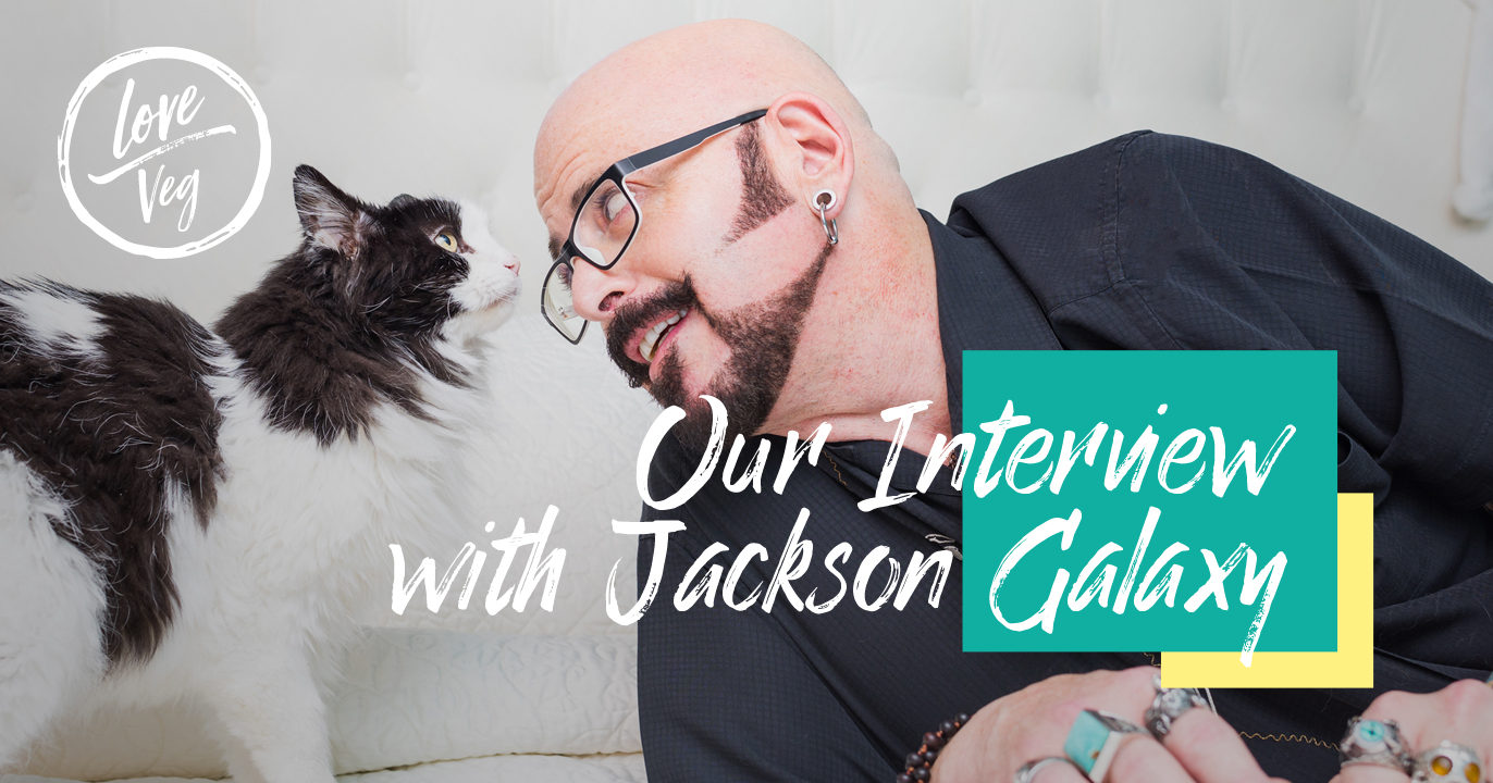 jackson galaxy vegan cat food