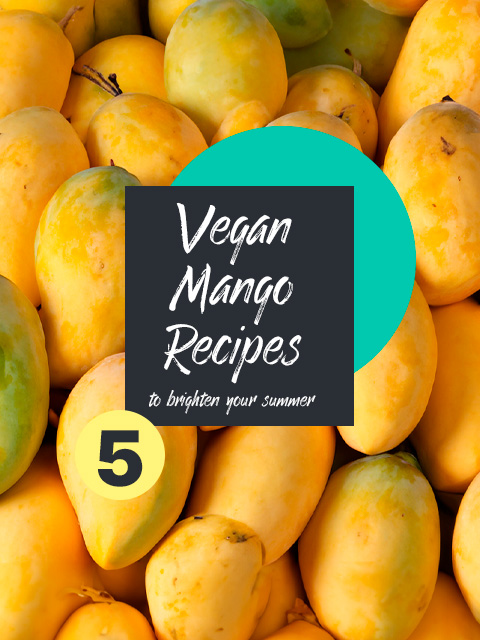 Mango Recipes