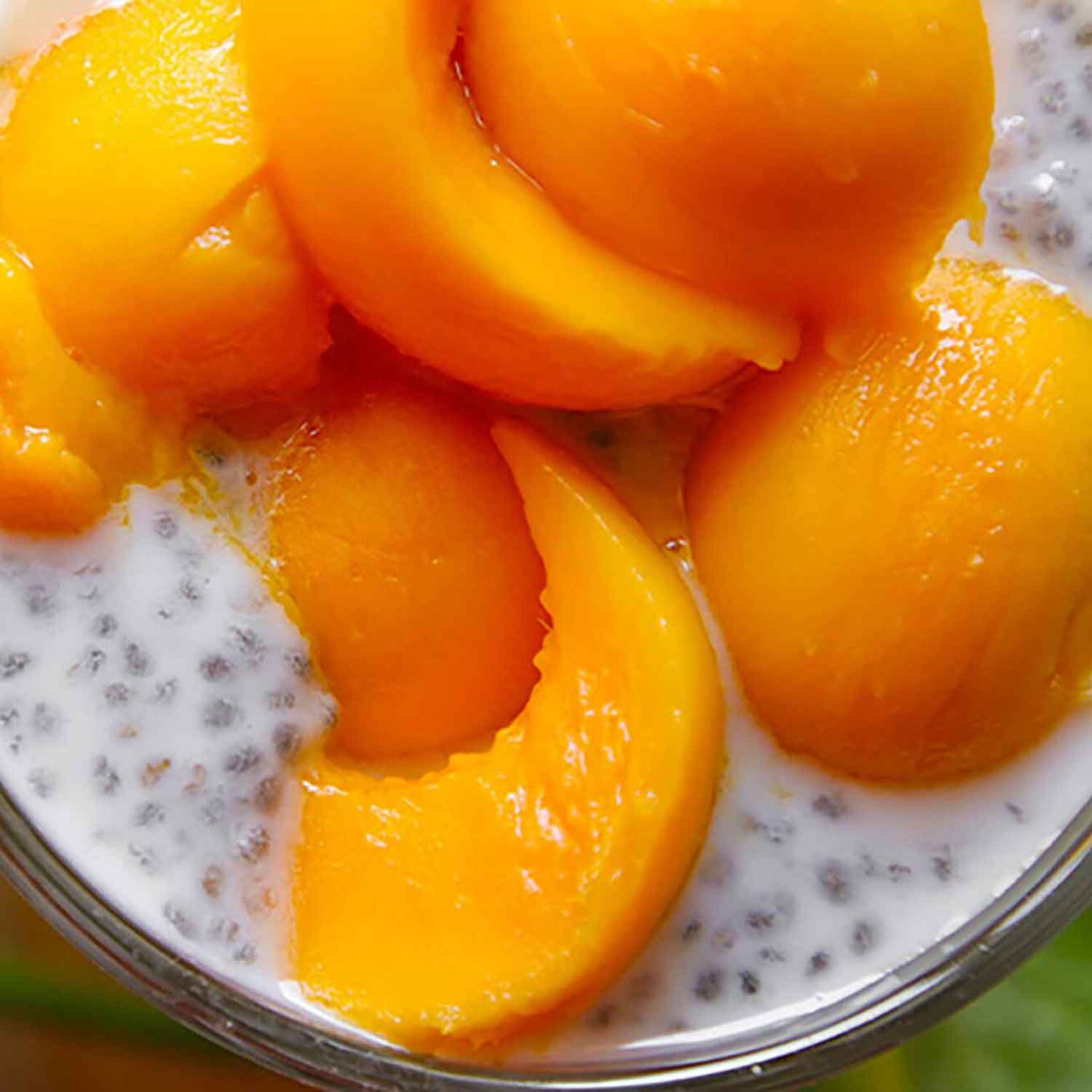 Coconut pudding with mango | Love Veg