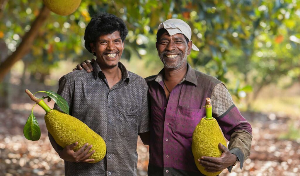 farmers - Copyright © jack & annie’s 2022