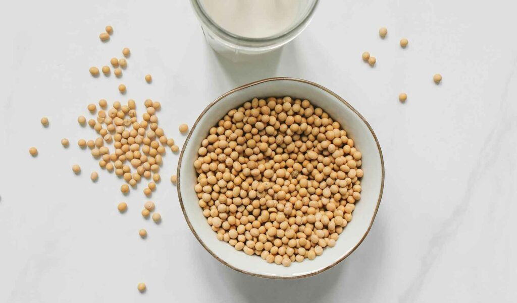 soy milk